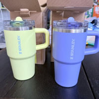 Stanley Quencher ProTour Flip Straw Tumbler (20 Oz)