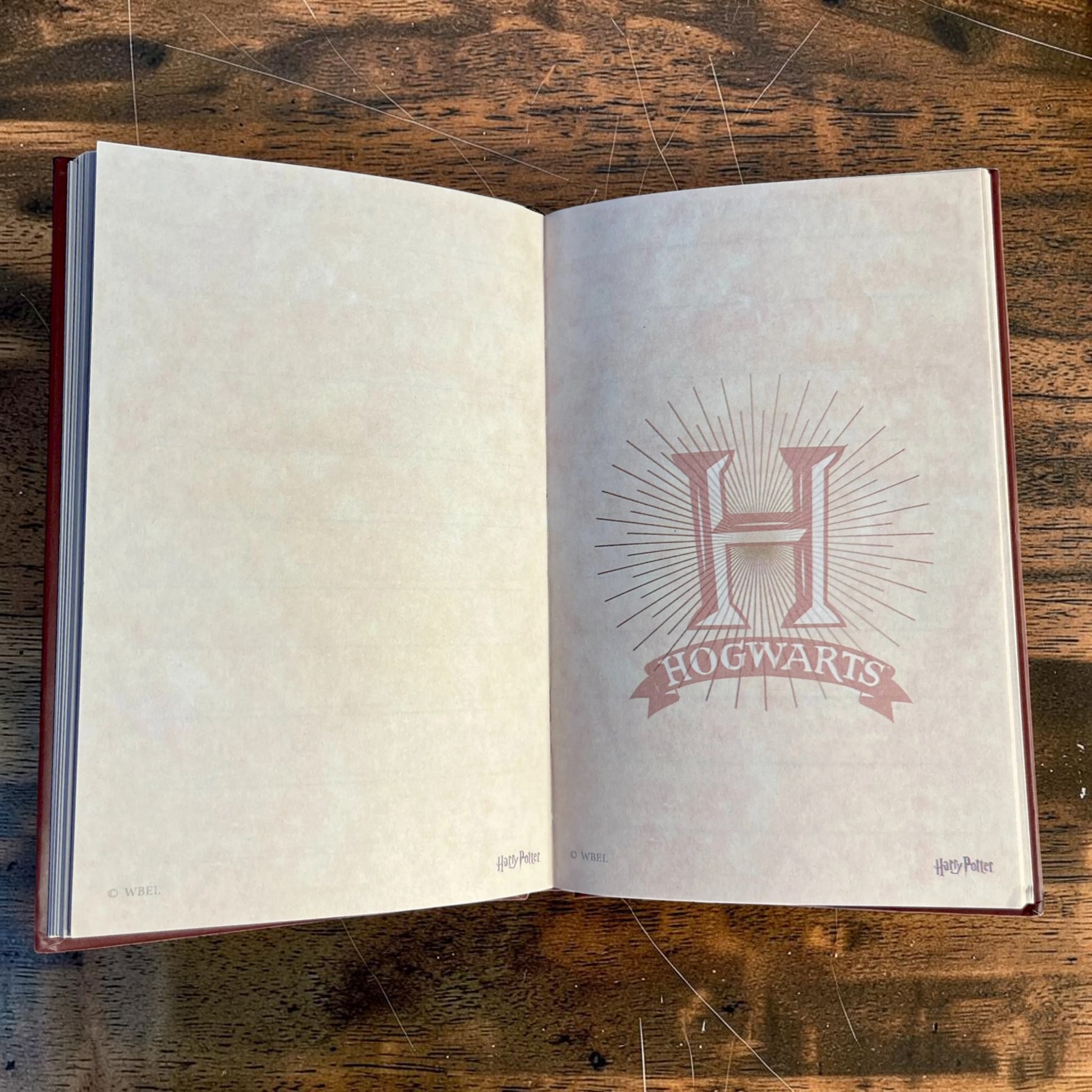 Harry Potter Wizarding Traits Hardcover A5 Notebook
