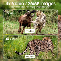 Nocturne Explorer 4K Night Vision Binoculars