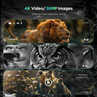 Nocturne Explorer 4K Night Vision Binoculars