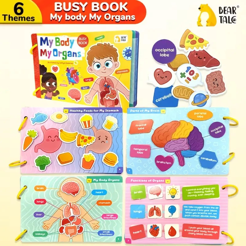 My Body My Organs Early Learning Busy Book