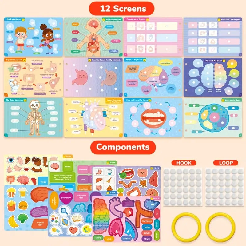 My Body My Organs Early Learning Busy Book