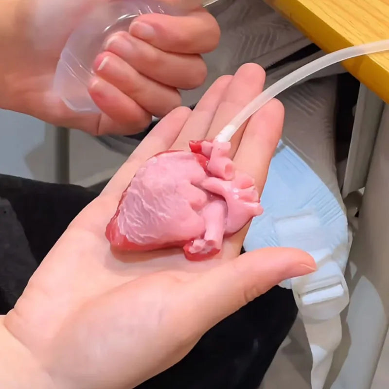 Realistic Heart-Shaped Squishy Toy