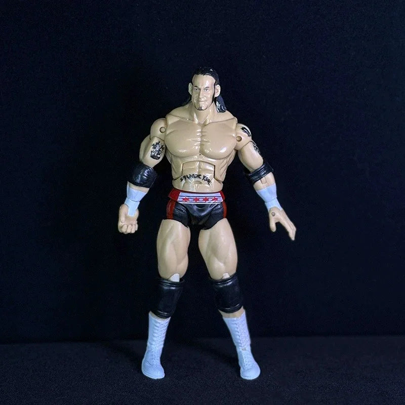 Attitude Era Wrestling Action Figures (14 cm)