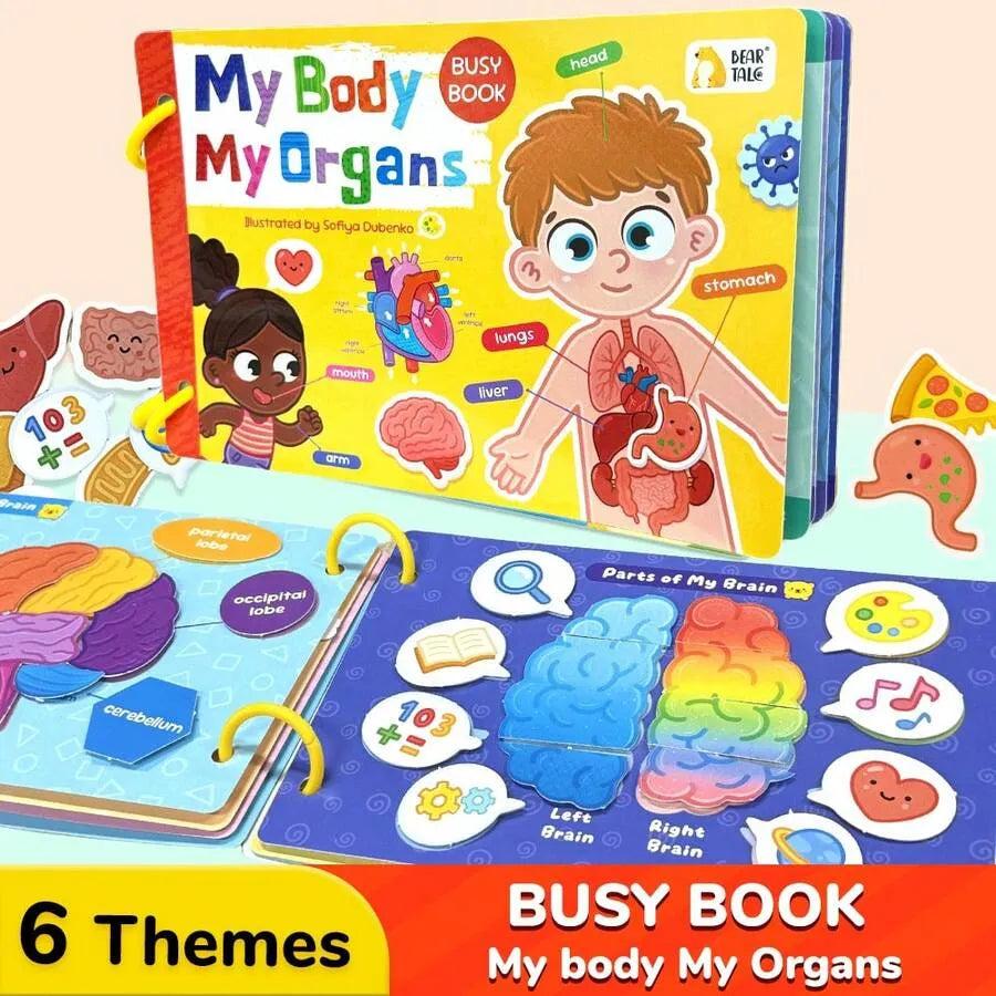 My Body My Organs Early Learning Busy Book