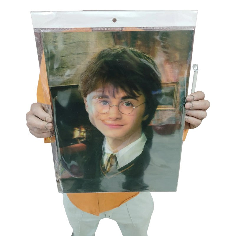 Harry Potter 3D Lenticular Golden Trio Poster