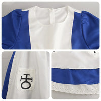 Alice in Wonderland Premium Cosplay Dress