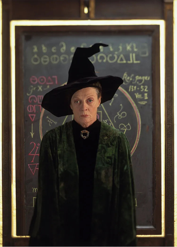 Hogwarts Professor McGonagall Gown Costume