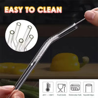 Borosilicate Straw Set for Tumblers (Pack of 2)