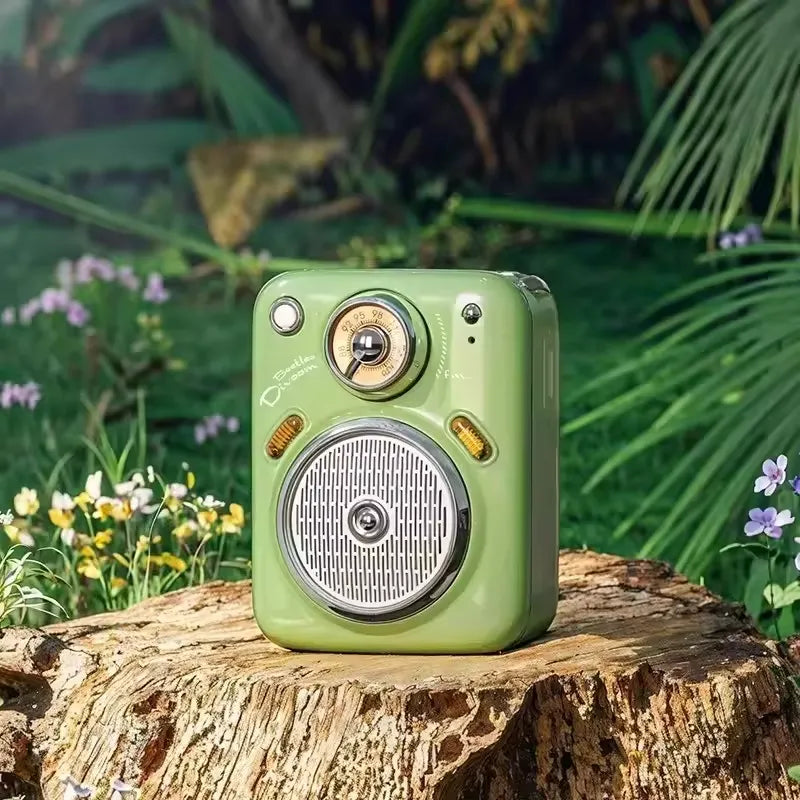 Divoom Beetles 2 Bluetooth Speaker