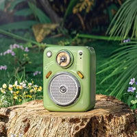 Divoom Beetles 2 Bluetooth Speaker