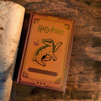 Harry Potter Wizarding Traits Hardcover A5 Notebook