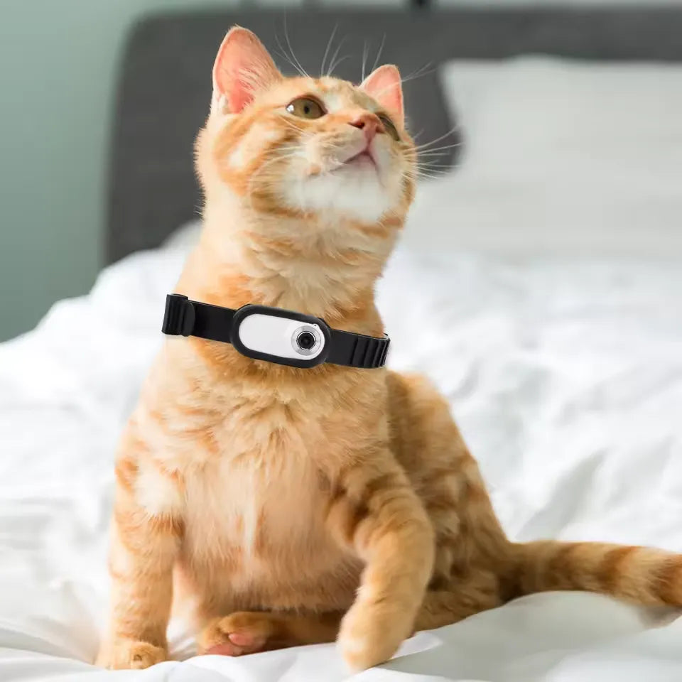 Pet Perspective 360 Pet Collar Camera