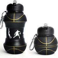 Collapsible Sports Folding Bottle (550 ml)