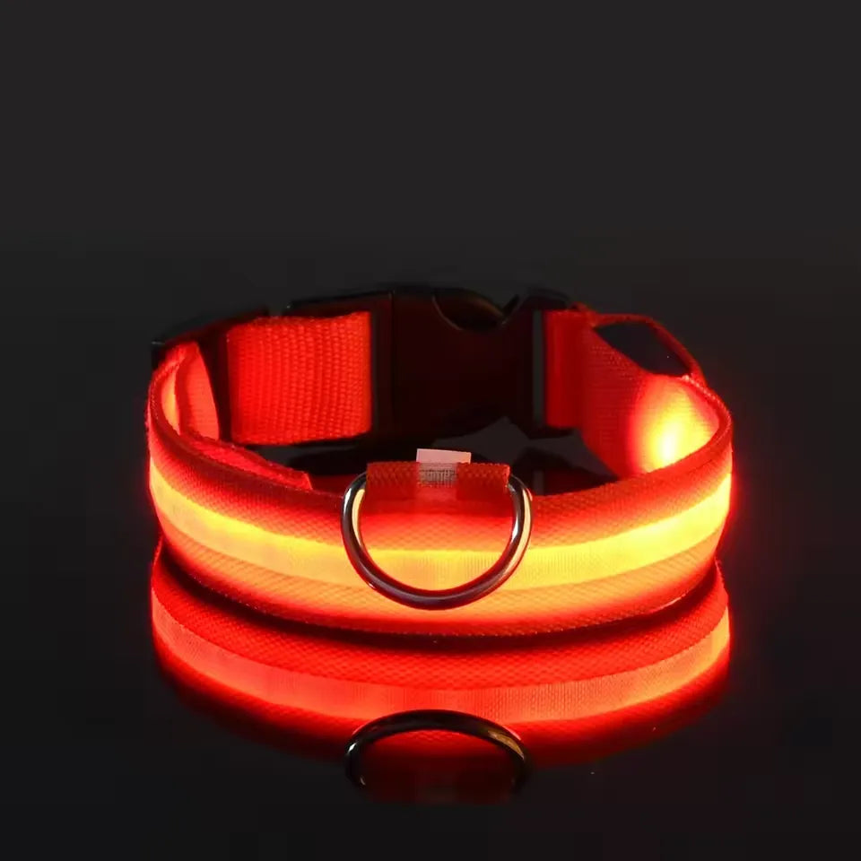 Neon Guardian Luminous Pet Collar