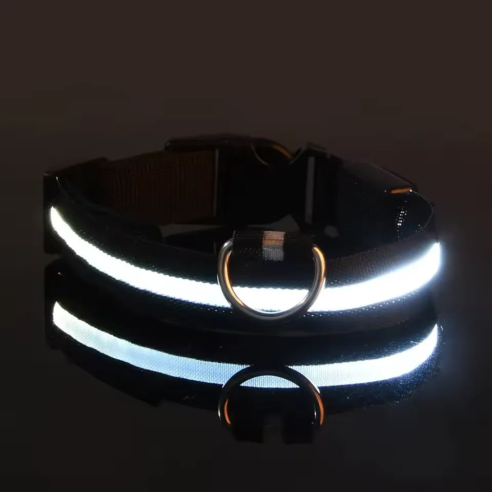 Neon Guardian Luminous Pet Collar