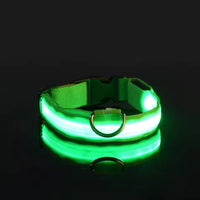 Neon Guardian Luminous Pet Collar
