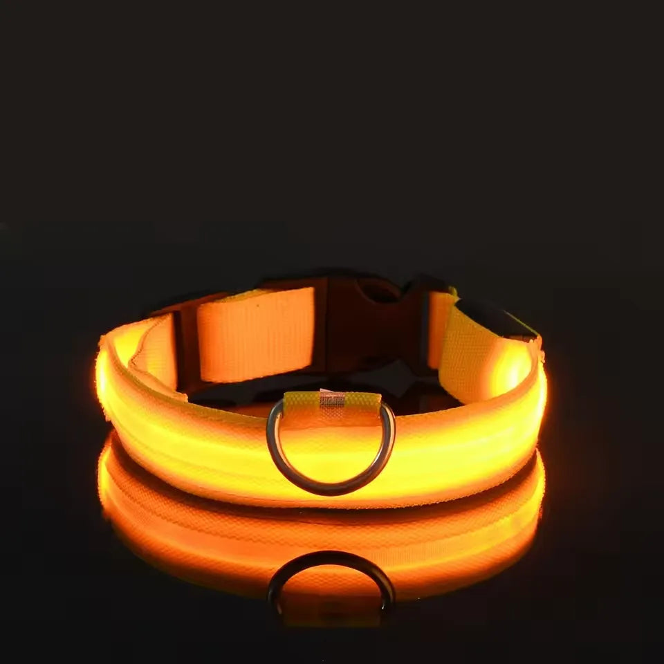 Neon Guardian Luminous Pet Collar
