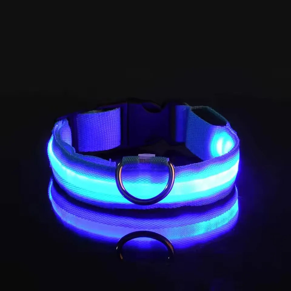 Neon Guardian Luminous Pet Collar