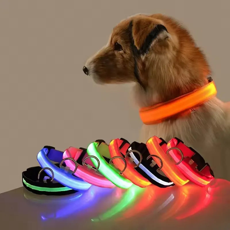 Neon Guardian Luminous Pet Collar