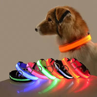 Neon Guardian Luminous Pet Collar