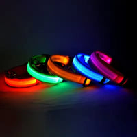 Neon Guardian Luminous Pet Collar