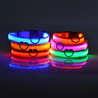 Neon Guardian Luminous Pet Collar