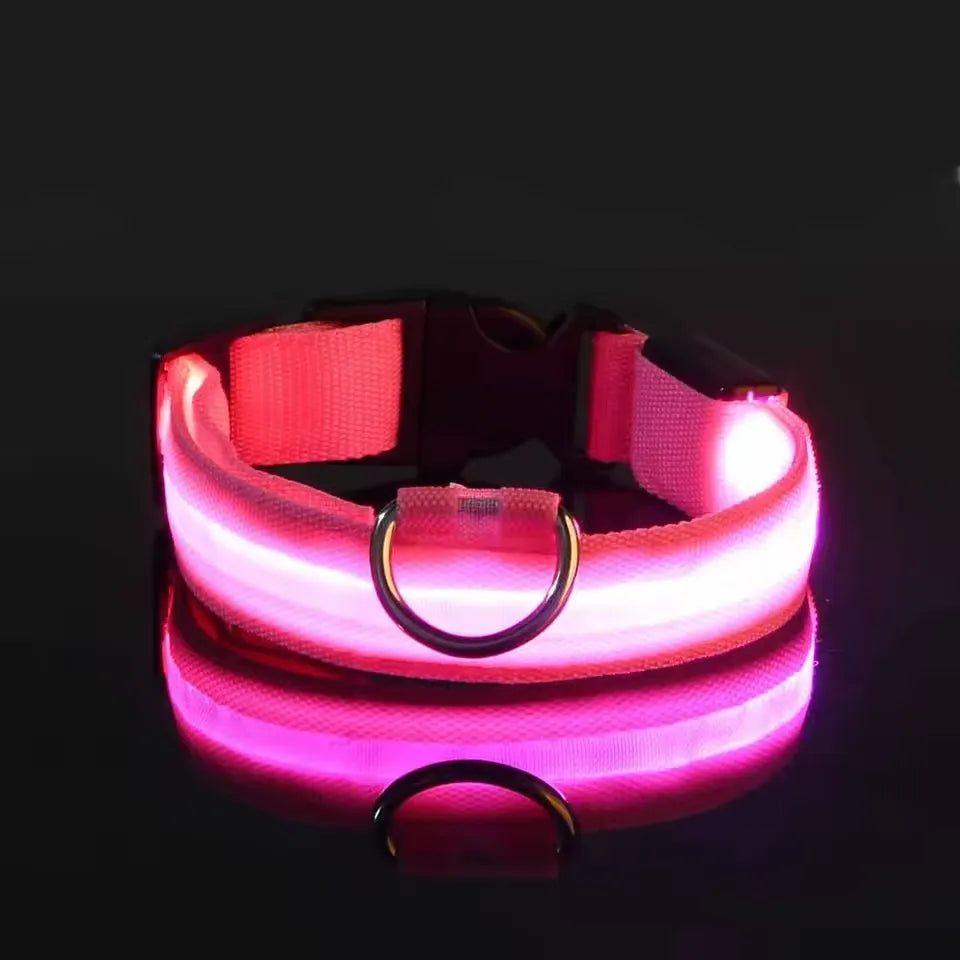 Neon Guardian Luminous Pet Collar
