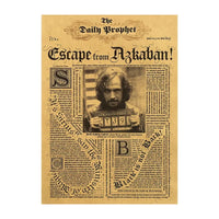 HP Daily Prophet Wall Poster