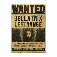 HP Daily Prophet Wall Poster