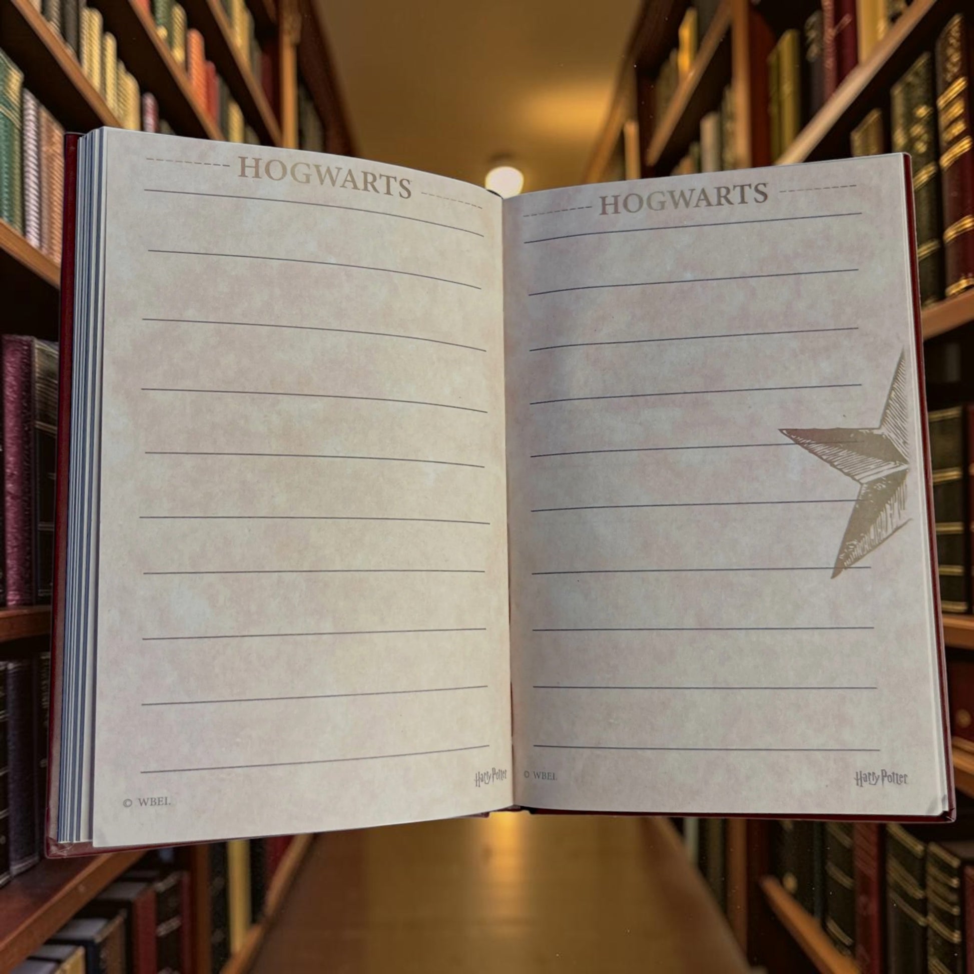 Harry Potter Wizarding Traits Hardcover A5 Notebook