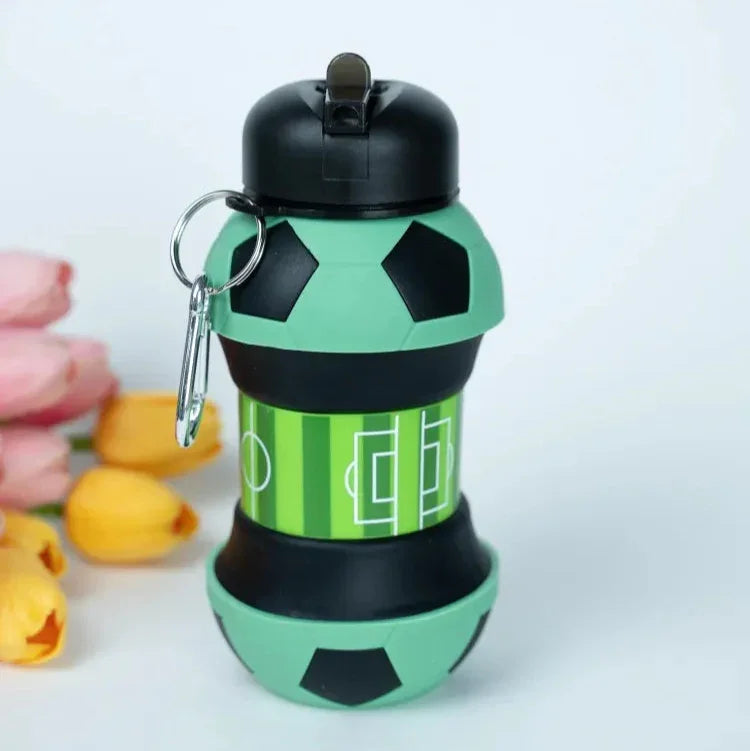 Collapsible Sports Folding Bottle (550 ml)