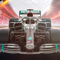 Rastar 1:12 Scale Mercedes-AMG Petronas W14 RC Car