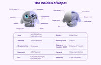 Ropet Interactive AI Companion Robot