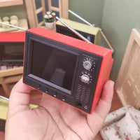 The World's Smallest TV