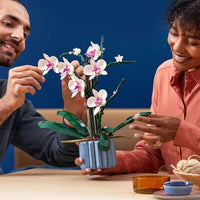 Two people interacting with a decorative plant on a table against a blue background