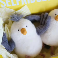 JC Albert Seagull Plush (25 cm)