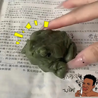 Realistic Frog Squishy Toy