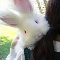 Bear Hugs Realistic Angora Rabbit Plush Backpack