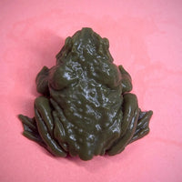 Realistic Frog Squishy Toy