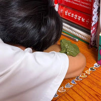 Realistic Frog Squishy Toy