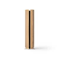 BnO Emerge Luxury Speaker