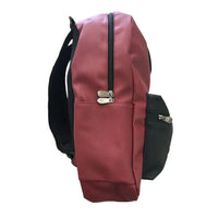 Harry Potter Platform 9 3/4 Backpack
