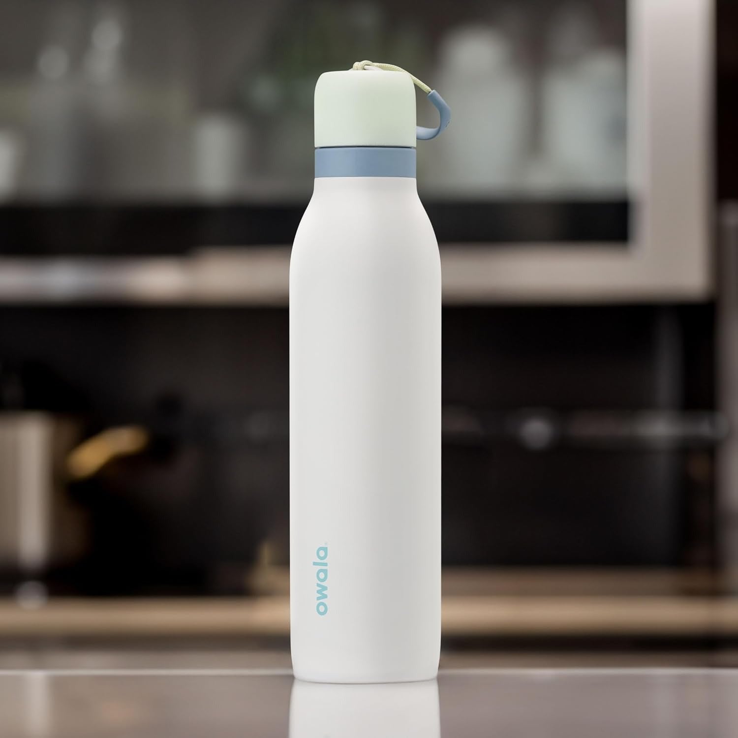 Owala FreeSip Twist Insulated Bottle (24 oz)