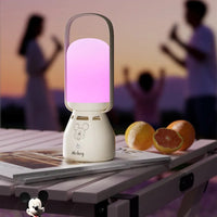 DZNY DS-Z15 Mickey Lantern Speaker
