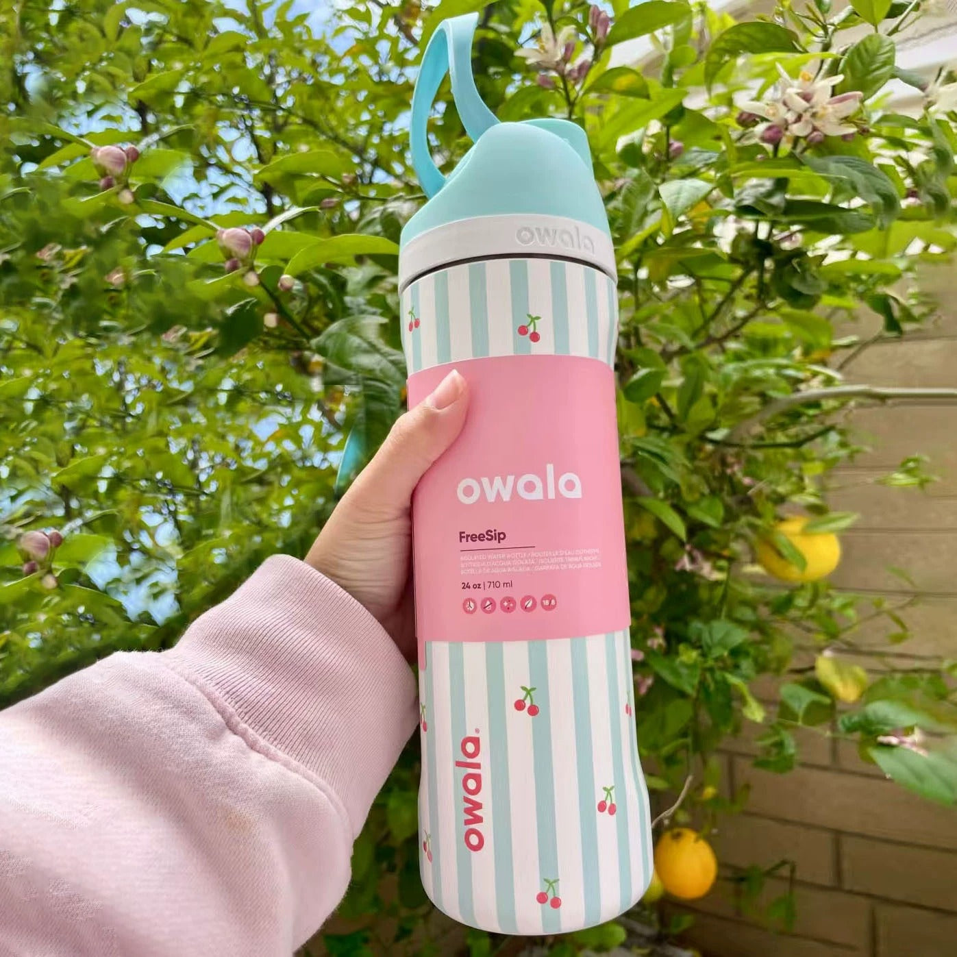 Owala FreeSip Insulated Water Bottle (24 oz/ 32 oz)