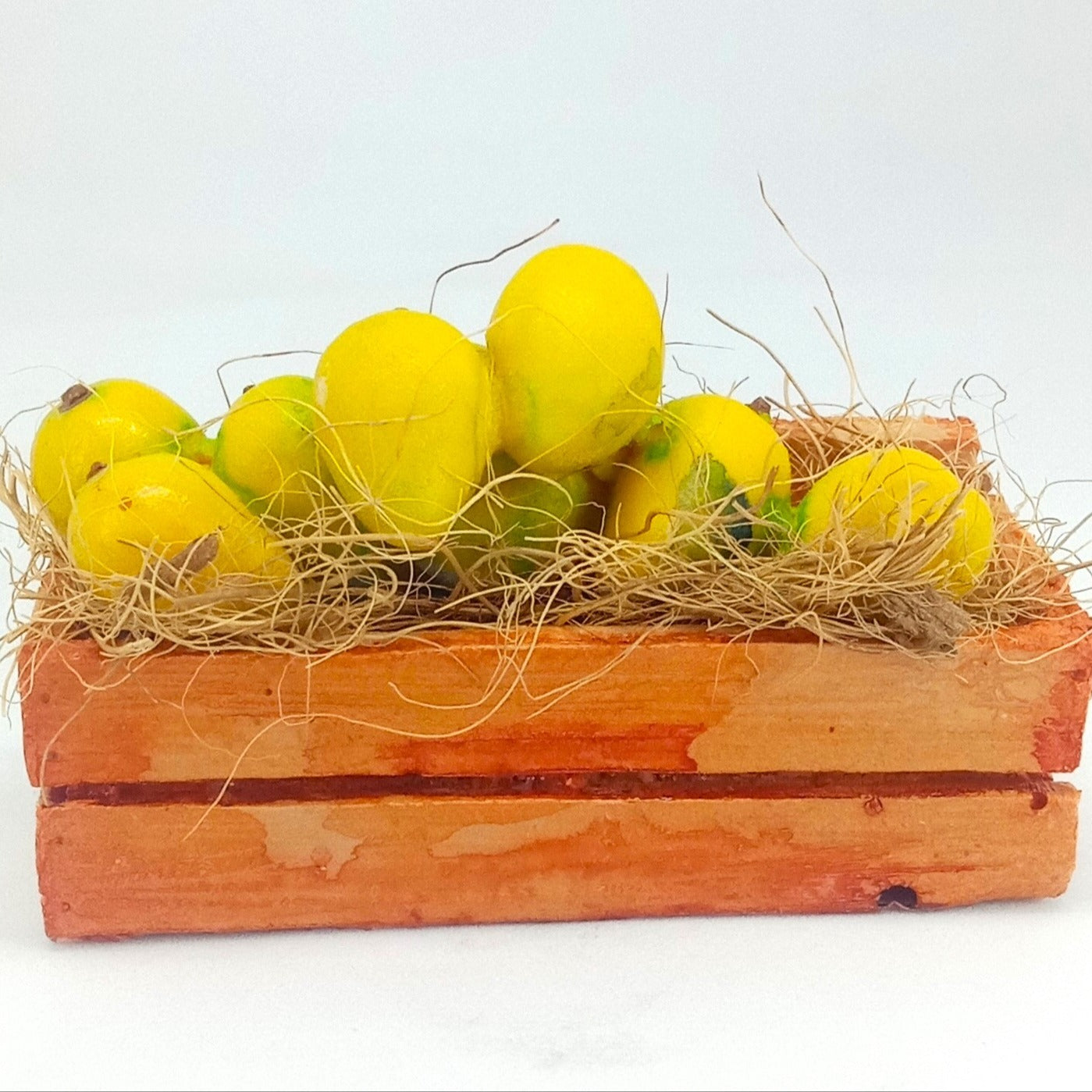 Snack Shack Fridge Magnets