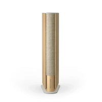 BnO Emerge Luxury Speaker