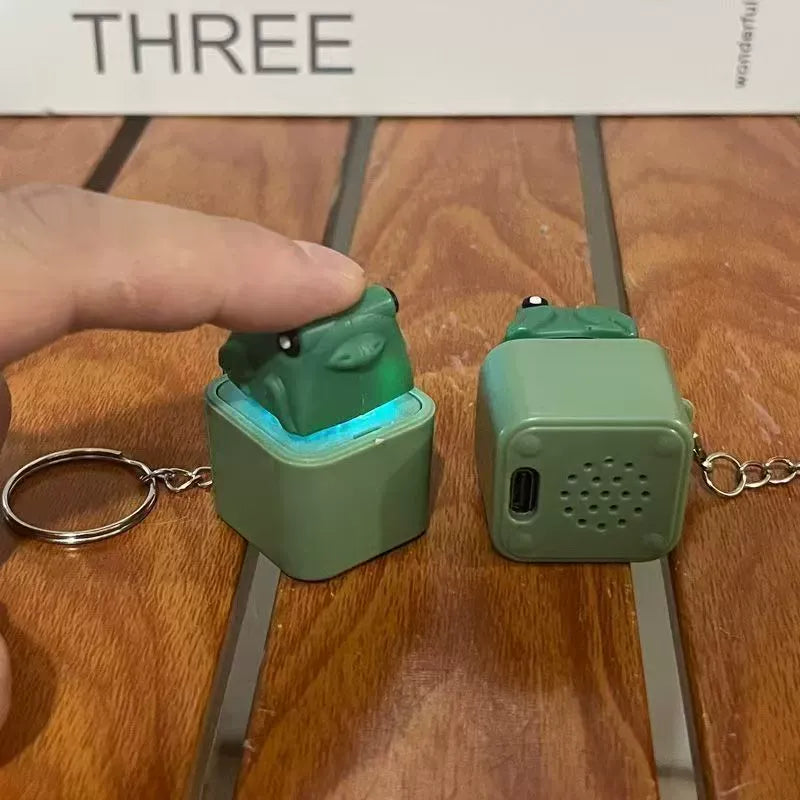 Grumpy Frog Sound & LED Fidget Keychain