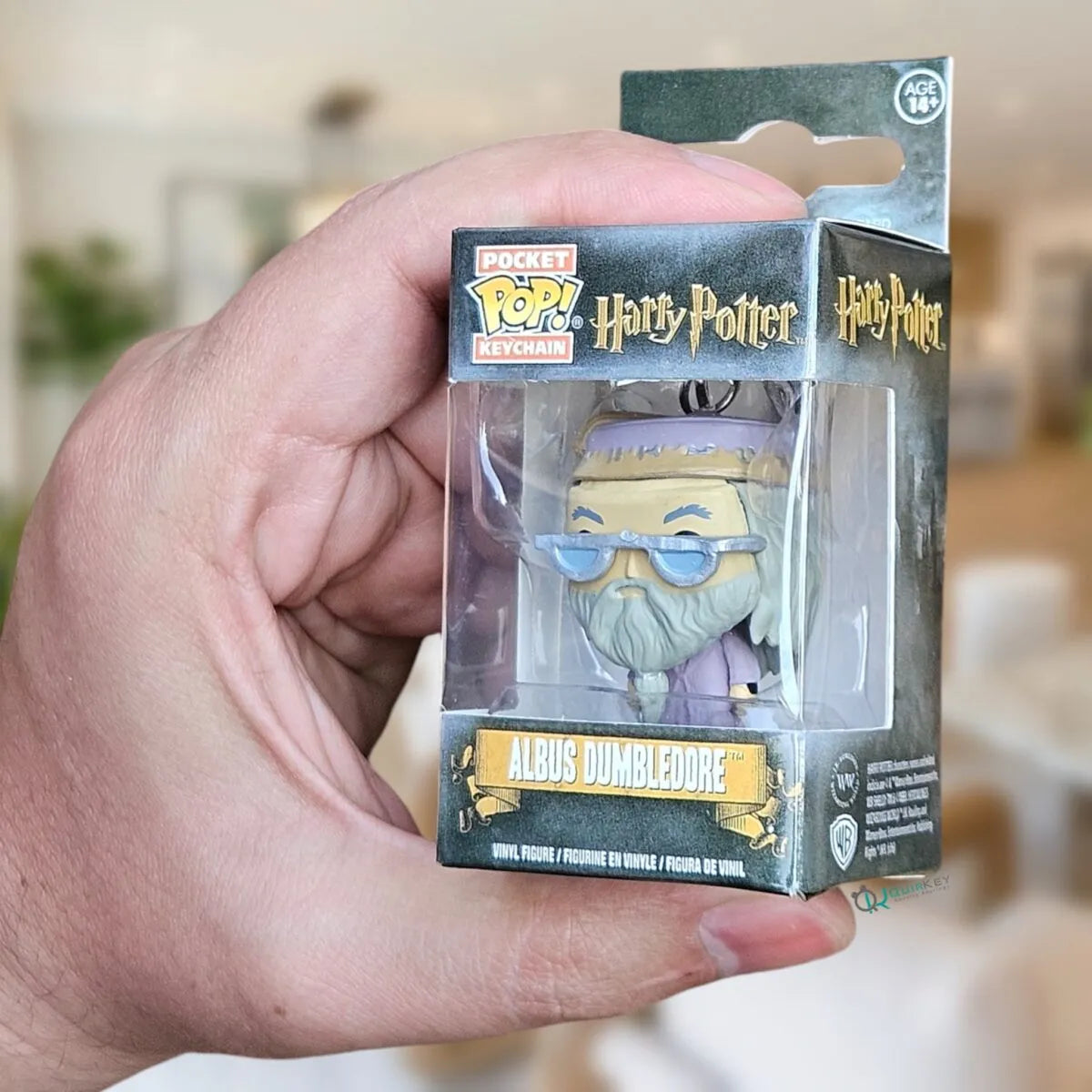 Porte-clés Pocket POP Harry Potter 